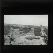 Böhl glass slide 21./736